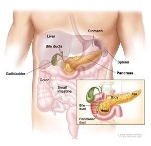 Pancreatic Cancer Surgery